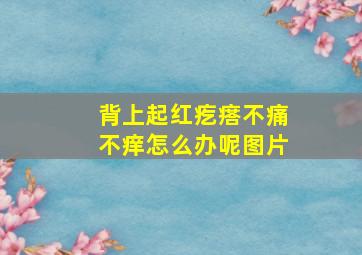 背上起红疙瘩不痛不痒怎么办呢图片