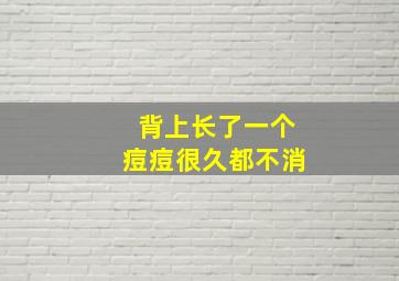 背上长了一个痘痘很久都不消