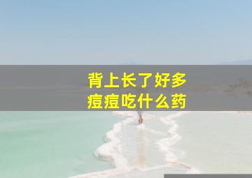 背上长了好多痘痘吃什么药