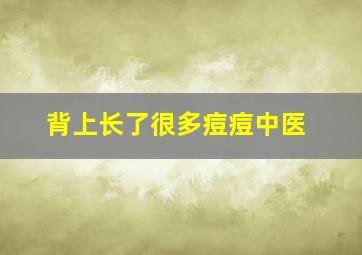 背上长了很多痘痘中医