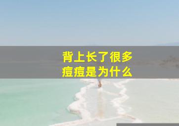 背上长了很多痘痘是为什么