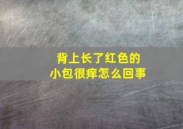 背上长了红色的小包很痒怎么回事