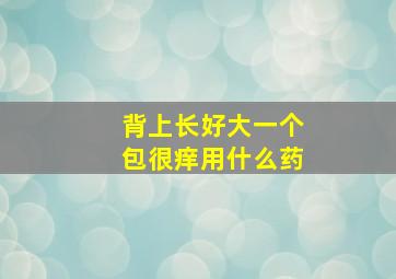 背上长好大一个包很痒用什么药