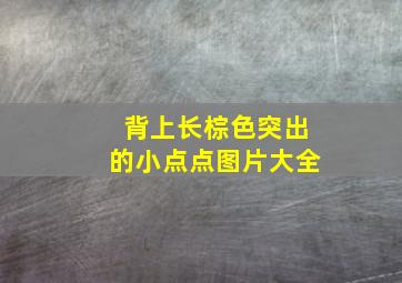 背上长棕色突出的小点点图片大全