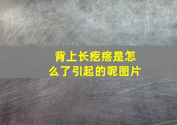 背上长疙瘩是怎么了引起的呢图片