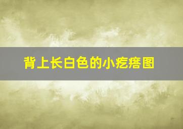 背上长白色的小疙瘩图