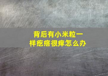 背后有小米粒一样疙瘩很痒怎么办