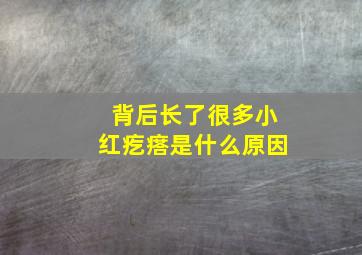 背后长了很多小红疙瘩是什么原因