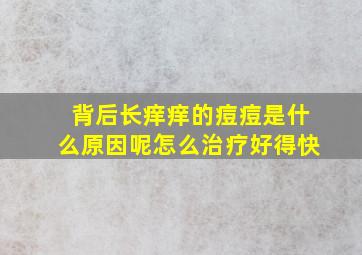 背后长痒痒的痘痘是什么原因呢怎么治疗好得快