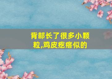 背部长了很多小颗粒,鸡皮疙瘩似的