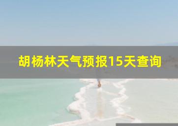 胡杨林天气预报15天查询