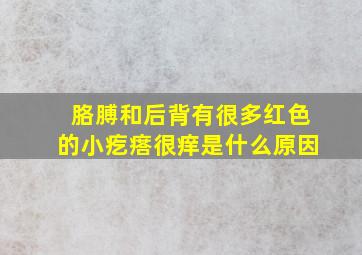 胳膊和后背有很多红色的小疙瘩很痒是什么原因