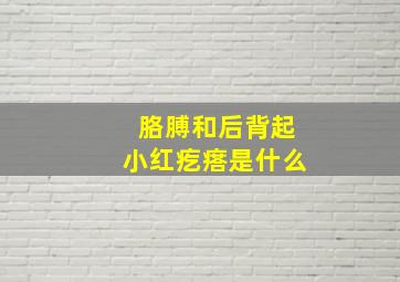 胳膊和后背起小红疙瘩是什么