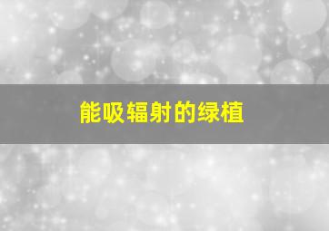 能吸辐射的绿植