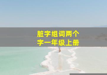 脏字组词两个字一年级上册