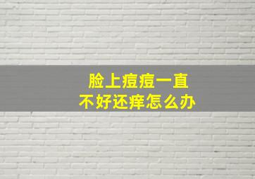 脸上痘痘一直不好还痒怎么办