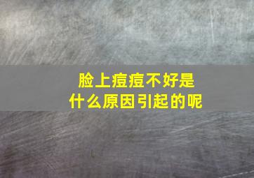 脸上痘痘不好是什么原因引起的呢