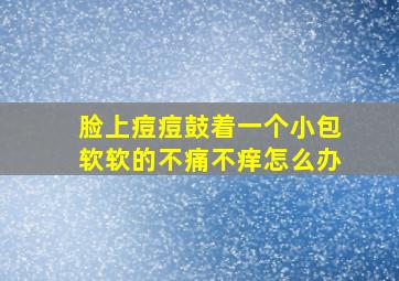 脸上痘痘鼓着一个小包软软的不痛不痒怎么办