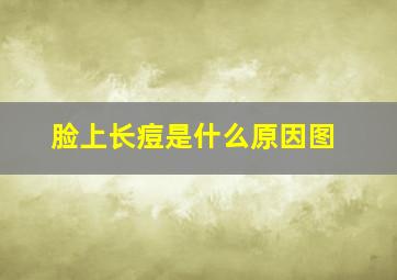 脸上长痘是什么原因图