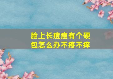 脸上长痘痘有个硬包怎么办不疼不痒