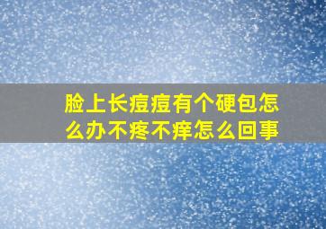 脸上长痘痘有个硬包怎么办不疼不痒怎么回事