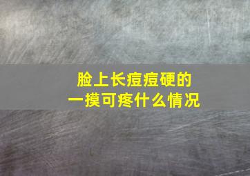 脸上长痘痘硬的一摸可疼什么情况