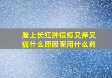 脸上长红肿痘痘又痒又痛什么原因呢用什么药