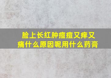 脸上长红肿痘痘又痒又痛什么原因呢用什么药膏