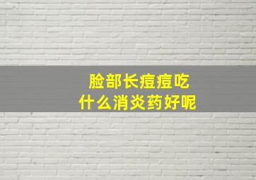 脸部长痘痘吃什么消炎药好呢