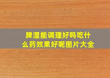 脾湿能调理好吗吃什么药效果好呢图片大全