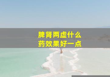 脾肾两虚什么药效果好一点