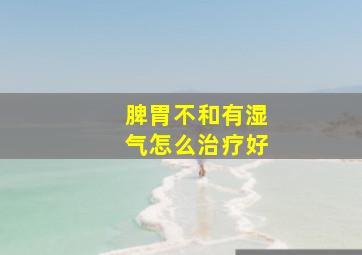 脾胃不和有湿气怎么治疗好