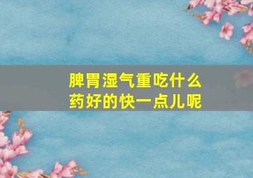 脾胃湿气重吃什么药好的快一点儿呢