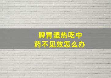 脾胃湿热吃中药不见效怎么办