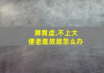 脾胃虚,不上大便老是放屁怎么办