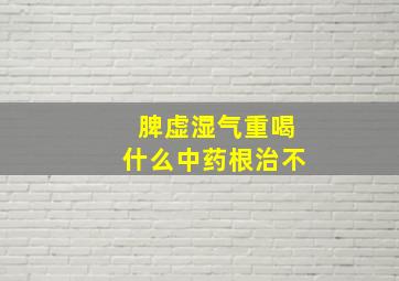 脾虚湿气重喝什么中药根治不