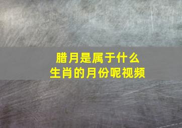 腊月是属于什么生肖的月份呢视频