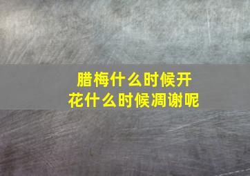 腊梅什么时候开花什么时候凋谢呢