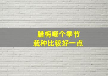 腊梅哪个季节栽种比较好一点