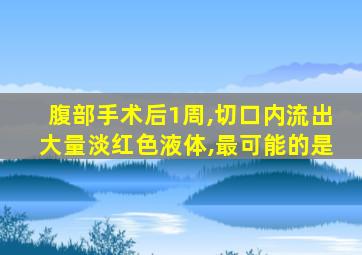 腹部手术后1周,切口内流出大量淡红色液体,最可能的是