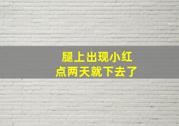 腿上出现小红点两天就下去了