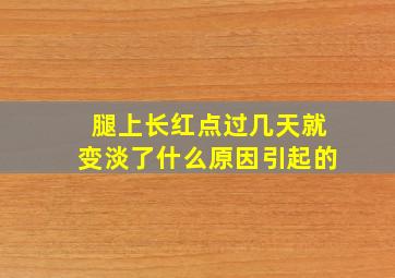 腿上长红点过几天就变淡了什么原因引起的