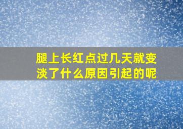 腿上长红点过几天就变淡了什么原因引起的呢