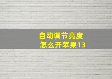 自动调节亮度怎么开苹果13