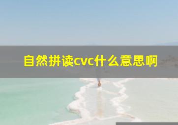 自然拼读cvc什么意思啊