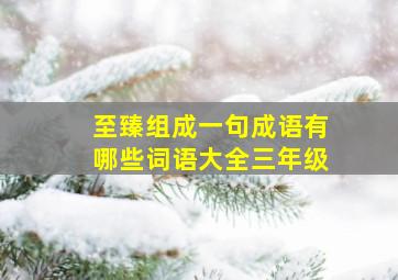 至臻组成一句成语有哪些词语大全三年级