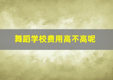 舞蹈学校费用高不高呢