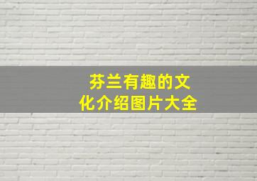 芬兰有趣的文化介绍图片大全