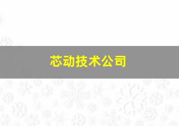 芯动技术公司