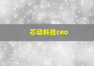 芯动科技ceo